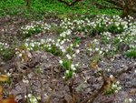 DSC04358.jpg