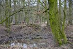 DSC_0204.JPG