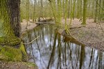 DSC_0223.JPG