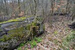 DSC_0237.JPG