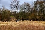DSC_0128.JPG