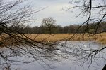DSC_0218.JPG
