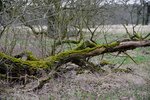 DSC_0067.JPG