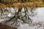 DSC_0192.JPG