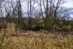 DSC_0144.JPG
