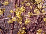 DSC04506.jpg