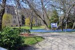 DSC_0318.JPG