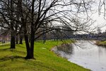 DSC_0299.JPG