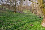 DSC_0136.JPG