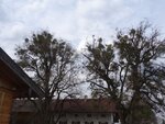DSC04557.jpg