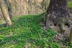 DSC_0154.JPG