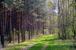 DSC_0057.JPG