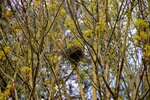 DSC_0085.JPG