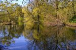 DSC_0093 (1).JPG