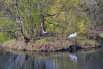 DSC_0069 (1).JPG