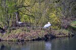 DSC_0086 (1).JPG