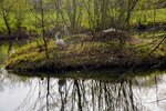 DSC_0112 (1).JPG