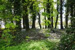 DSC_0110.JPG