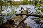 DSC_0078.JPG