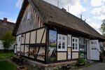 DSC_0308.JPG