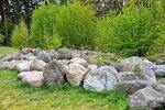 DSC_0476.jpg