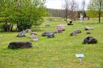 DSC_0479.JPG