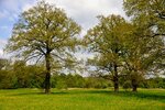 DSC_0192.JPG