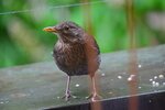 DSC_0014 - Kopie.JPG