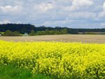 DSC04812.jpg