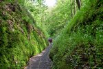 DSC_0181.JPG