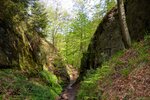 DSC_0111.JPG