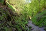 DSC_0106.JPG