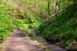 DSC_0198.JPG