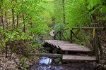 DSC_0040.JPG