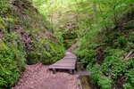 DSC_0119.JPG