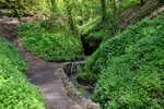 DSC_0201.JPG