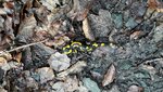 20161015_115236.jpg