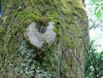 DSC04919.jpg