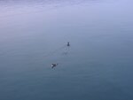 DSC04937.jpg