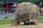 DSC_0061 (2).JPG