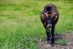 DSC_0016.JPG