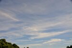 DSC_0217 (1).JPG