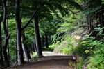 DSC_0371.JPG