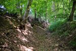 DSC_0156.JPG