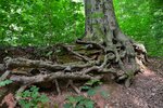 DSC_0195.JPG