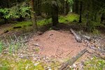 DSC_0223 (3).JPG