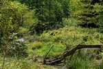 DSC_0587.JPG