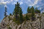 DSC_0444.JPG