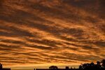 DSC_0222.JPG