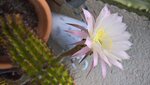 WP_20170918_18_36_55_Prok.jpg